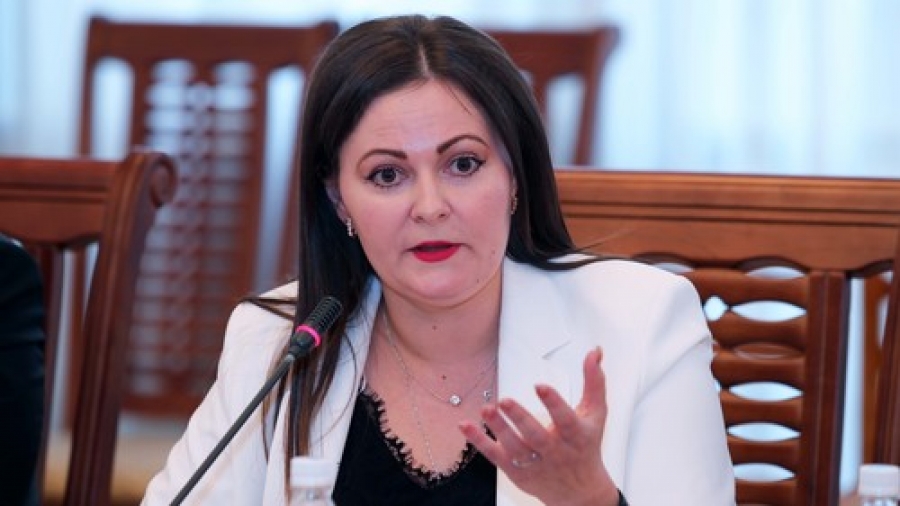 Наталья Никитенко Финполдун 2021-жылга карата бюджетти толтуруу пландарын сурады