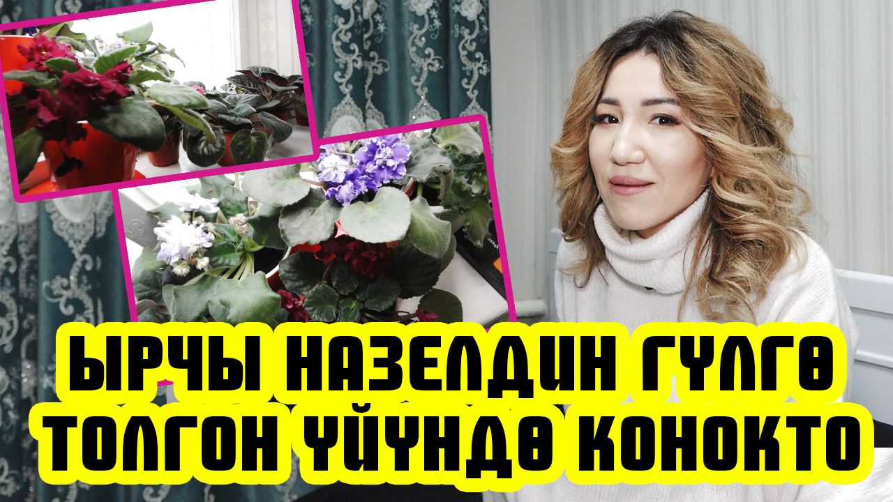 Ырчы Назелдин күйөөгө узай турган үйүндө конокто