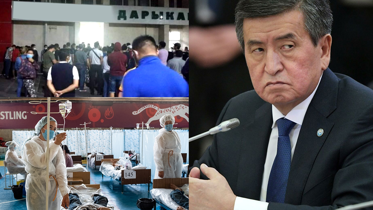 Аптага сереп: Кара жолтой... Каргашалуу июль... Кармалууга аз калдыбы?