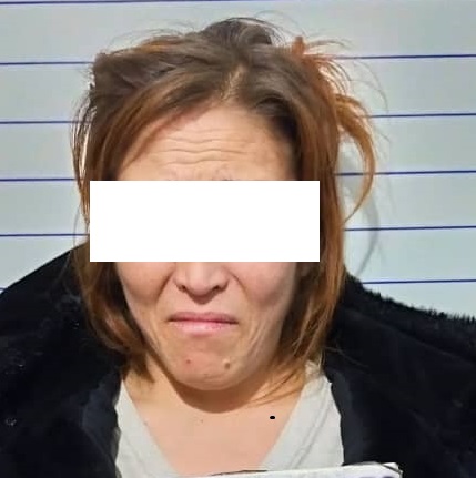 Чүйдө 14 жаштагы баланын өлүмүнө шектелип өз апасы кармалды
