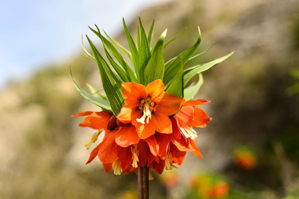 Айрым аймактарда жаан жаайт. 1-майга карата өлкөдөгү аба ырайы