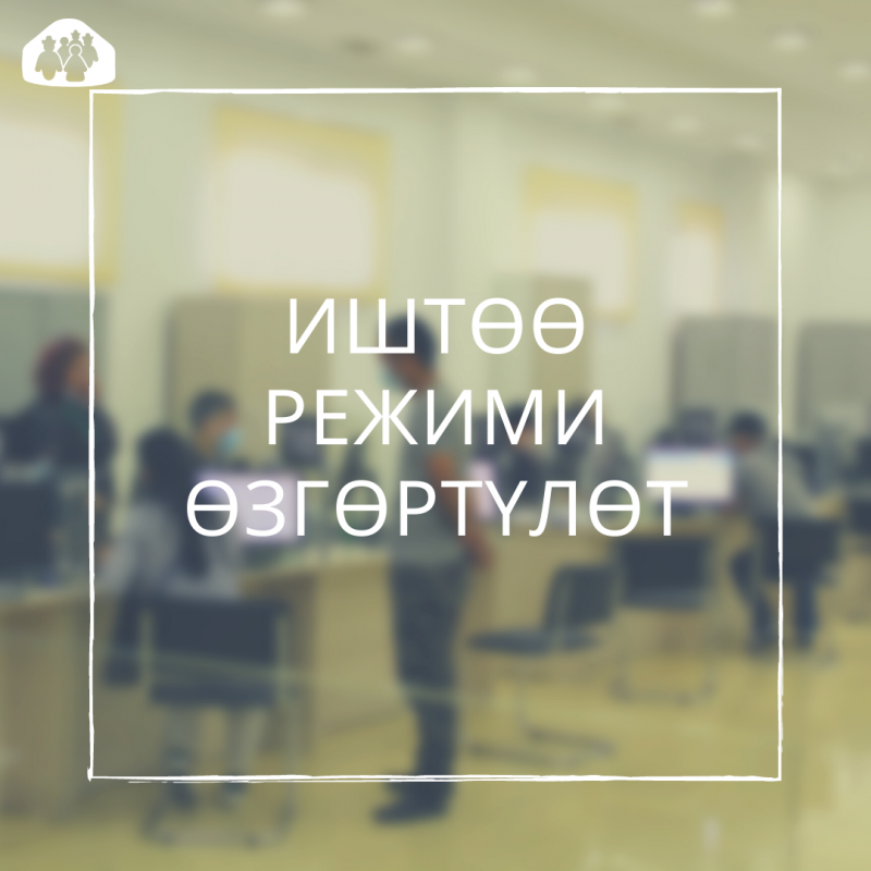 4-июндан тарта паспорт столдордун иштөө мөөнөтү узартылат