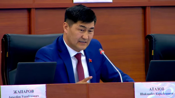 Атазов: "Нышановго ишенбөөчүлүк көрсөтүүгө "Ата-Мекен" фракциясынын мүчөлөрүнүн добушу жеткен жок"
