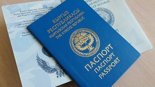 Милиция: "Кыргыз паспортун мыйзамсыз берүү боюнча кылмыш иши козголду"
