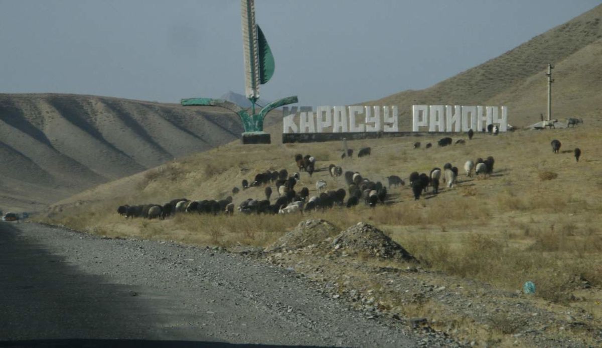 Ошто 24 жаштагы келин эки кызы менен каналга түшүп кеткен. 1,5 жаштагы кызынын жансыз денеси изделип жатат