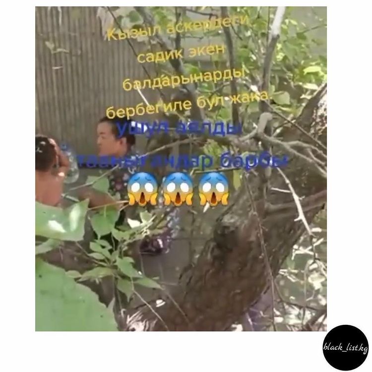 "Чаппа!" деп чырылдап ыйлаган бала. Бала бакчада баланы урган аялдын видеосу тарады (видео)