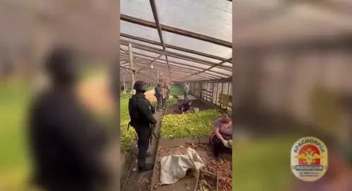 Орусияда мыйзамсыз иштеп жүргөн 15 жаштагы кыргызстандык кыз аныкталды