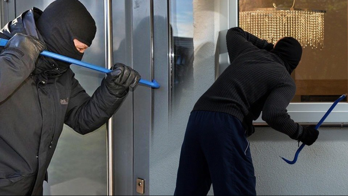 Сокулукта 20дан ашык уурулук фактысына шектүү жарандар кармалды