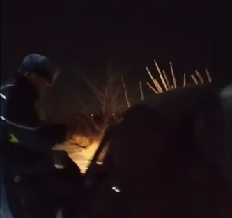 Жол тескөөчүлөргө баш ийбей талааны көздөй качкан мас айдоочу кармалды