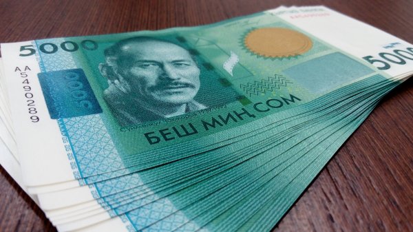 Мамлекеттик салык кызматы өткөн айда 22,5 миллиард сом чогултту