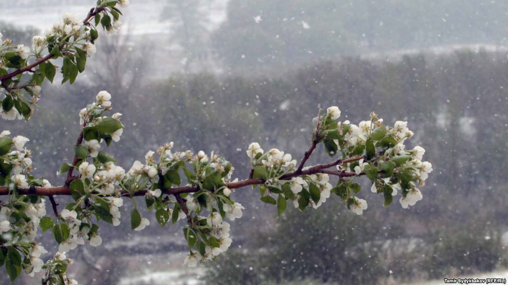 29-мартта өлкөдө күтүлгөн аба ырайы