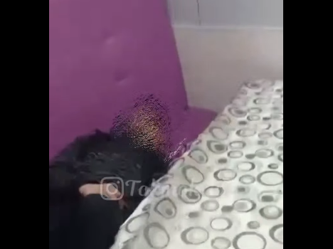 Токмокто кафеге ууруга кирген жаран диванда уктап калган (видео)