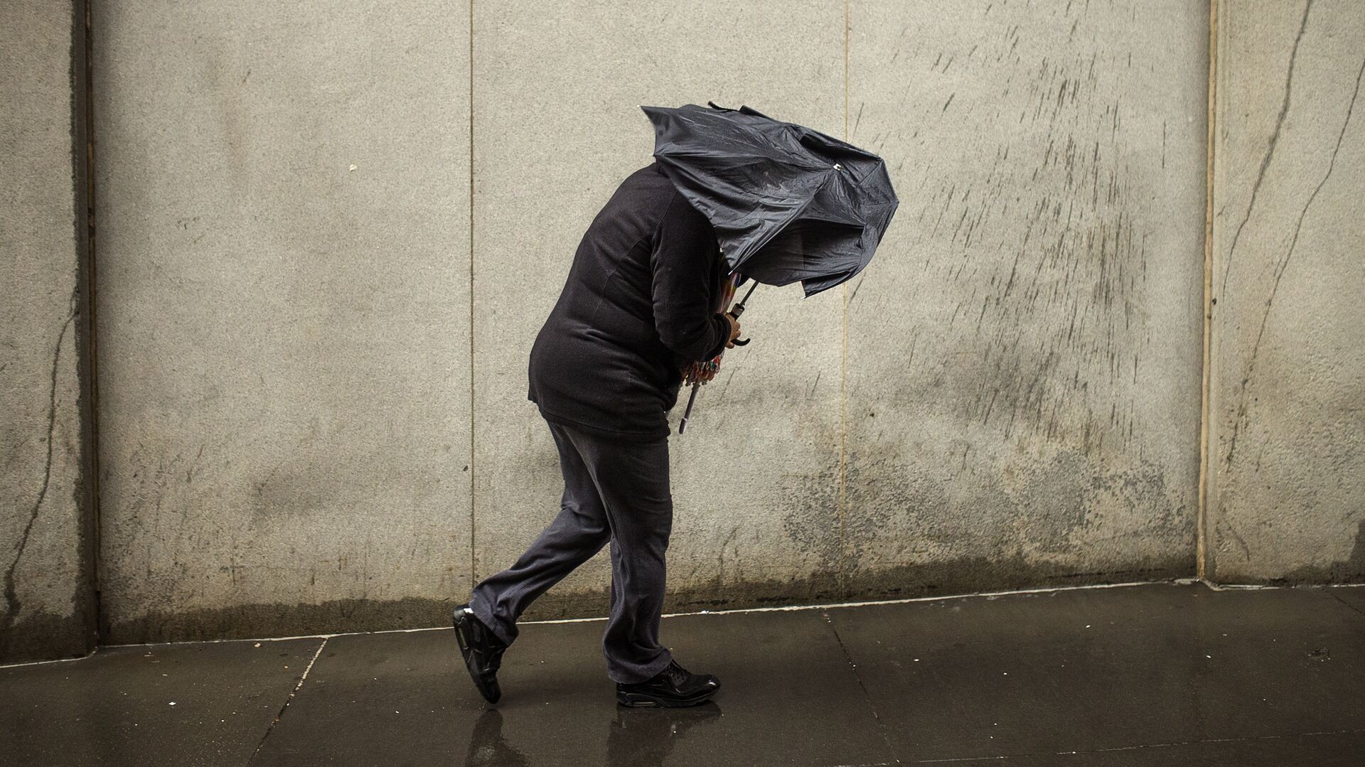 Бишкек менен Чүйдө катуу шамал болору күтүлүп жатат