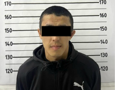 Бишкекте батирден 200 миң сом уурдаган шектүү кармалды