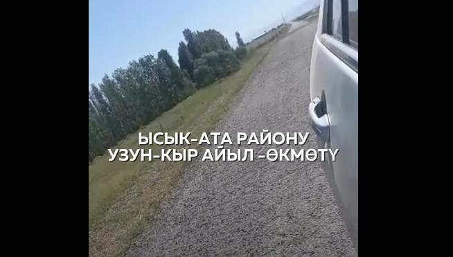Чүйдөгү чегиртке каптаган талааларда дары чачылып жатат