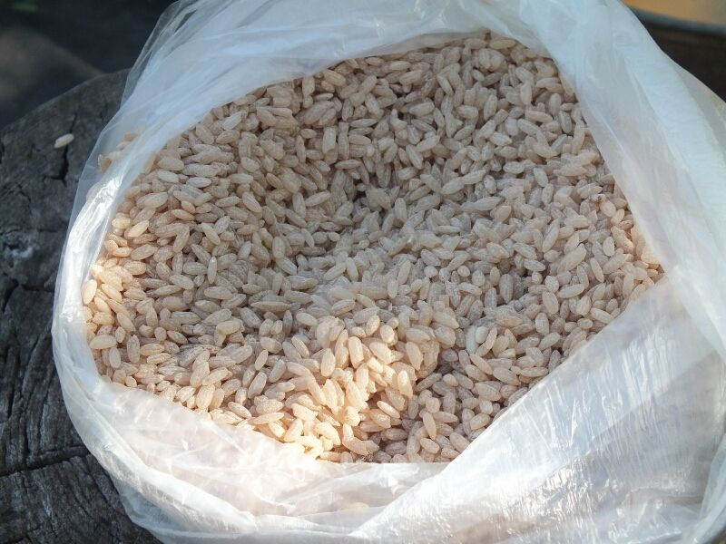 Ак-Турпак күрүчү таңгакталып, экспортко чыгарылат