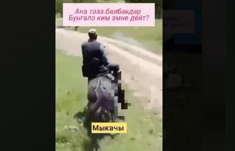 Интернетте итти атка сүйрөткөн жарандын видеосу тарап, талкуу жаратты