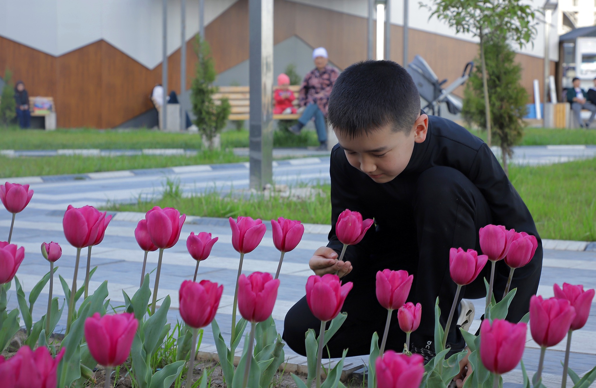 Ошто 20 миң түп жоогазын гүлүн ачты