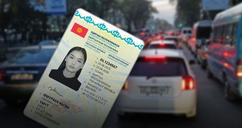 ТИМ: Айдоочулук күбөлүгү таанылбай жатат деген маалыматтар расмий тастыктамага ээ эмес