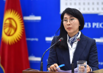 Мурдагы вице-премьер Аида Исмаилова Финполго суракка чакырылат