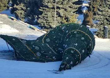 Күндүн сүрөтү: Караколдун кулап калган балатысы тамашалуу пикирлерди жаратууда