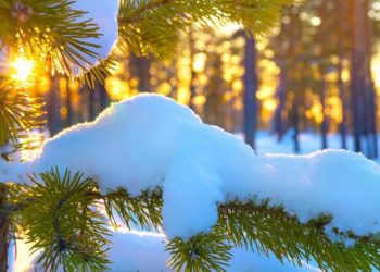 21-январга карата өлкөдөгү аба ырайы: Бишкекте 16 градус жылуу болот