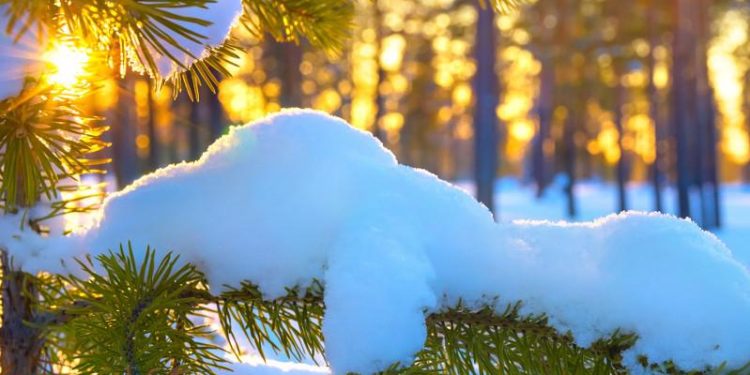 21-январга карата өлкөдөгү аба ырайы: Бишкекте 16 градус жылуу болот