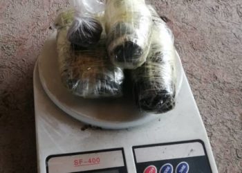 Борбордук Азия өлкөлөрүнө баңги заттарды ташуу жана сатуу үчүн туруктуу канал түзүп алган эки жаран кармалды