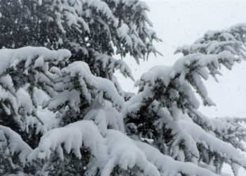 22-январга карата өлкөдөгү аба ырайы: Көпчүлүк аймактарда кар жаайт