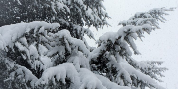 22-январга карата өлкөдөгү аба ырайы: Көпчүлүк аймактарда кар жаайт