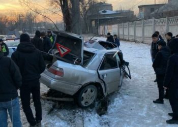 Бишкекте айдоочу даракты сүзүп, унаасы бүктөлүп калды