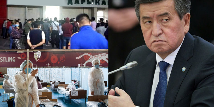 Аптага сереп: Кара жолтой… Каргашалуу июль… Кармалууга аз калдыбы?