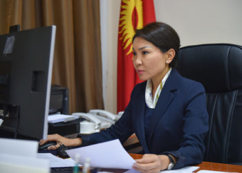 Сурабалдиева педофилдердин сүрөтү жана маалыматы камтылган картасын түзөлү дейт