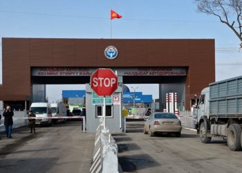 Чек арадан уй жүктөп жашыруун өтүп бараткандар кармалды