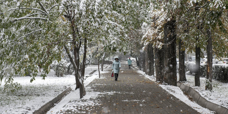 26-февралга карата өлкөдөгү аба ырайы