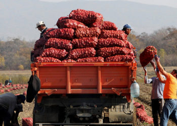 Улукбек Марипов: «Эми дыйкан-фермерлерге арзан кредиттер берилет»