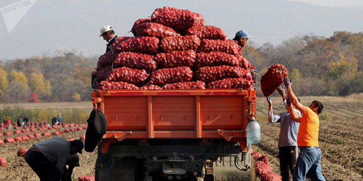 Улукбек Марипов: «Эми дыйкан-фермерлерге арзан кредиттер берилет»