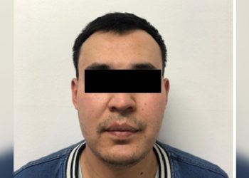 Бишкектен жасалма документ менен учуп кетмекчи болгон чет өлкөнүн жараны кармалды