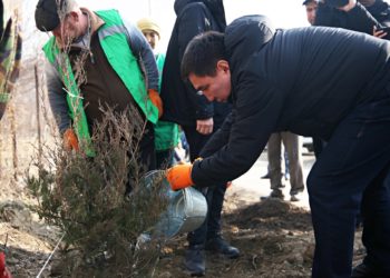 Быйыл Ош шаарынын көчөлөрүнө 73 миң көчөт отургузулат