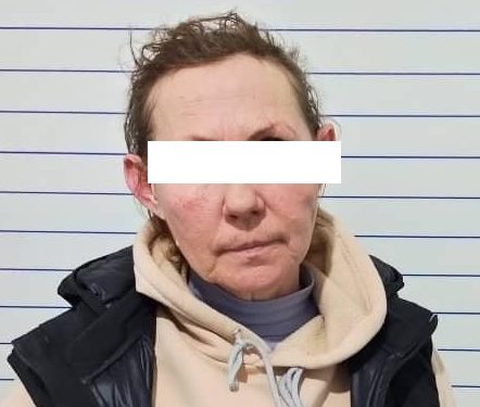 Чүй облусунун Жайыл районунда ден соолукка оор зыян келтирүүгө шектелип 53 жаштагы аял кармалды