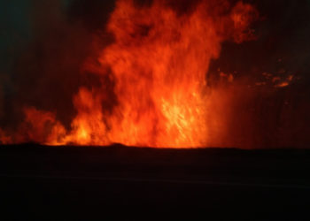 Бишкек-Нарын-Торугарт айланма унаа жолунда ири өрт чыкты