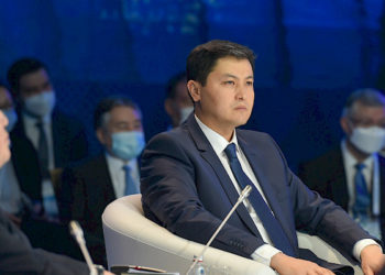 Тажикстан: “Кыргызстандын саясатчылары чек ара боюнча маселелерди айтууда кылдат болуулары керек”