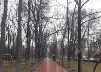 5-февралга карата өлкөдөгү аба ырайы