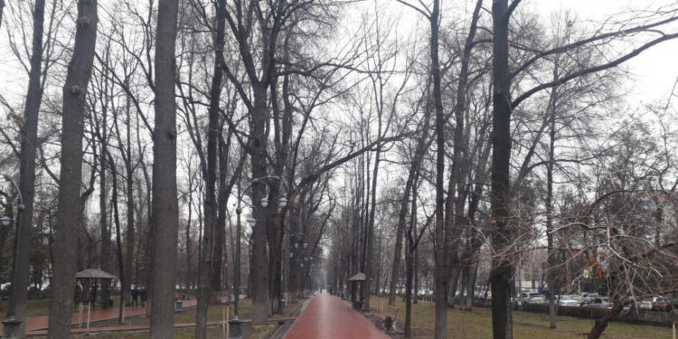 5-февралга карата өлкөдөгү аба ырайы