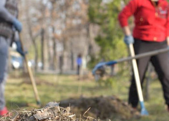 Жалал-Абад шаарынын аймагын көрктөндүрүү үчүн үч айлык жарыяланды