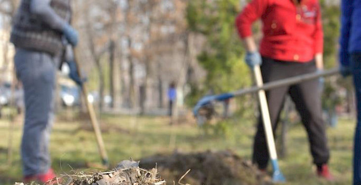 Жалал-Абад шаарынын аймагын көрктөндүрүү үчүн үч айлык жарыяланды