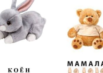 Ден соолугунун мүмкүнчүлүгү чектелген балдар үчүн мобилдик тиркеме иштелип чыкты