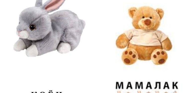 Ден соолугунун мүмкүнчүлүгү чектелген балдар үчүн мобилдик тиркеме иштелип чыкты