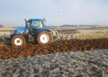 Оштун Араван районунда экспорт үчүн атайын картошка эгиле баштады