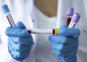 Депутат Момбеков Улукбек Мариповго: «Сизге Энергетика министрин ким сунуштады?»